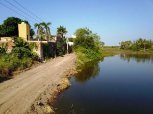 Mazatlán Naturaleza y Desarrollo: Encrucijada