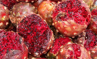 Mazatlán Interactivo