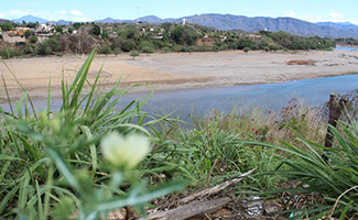 Mazatlán Interactivo
