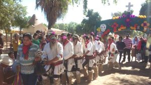 Como honran los Yoremes a sus muertos 2017