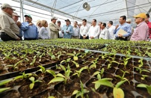 Centro de Innovacón y Transferencia Tecnológica de Sinaloa 2016