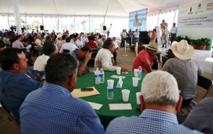 Centro de Innovacón y Transferencia Tecnológica de Sinaloa 2016