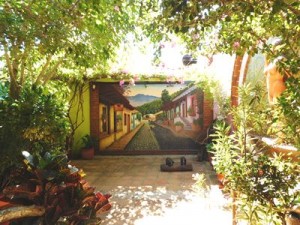 Zona Tropico El Quelite 2016