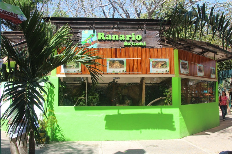 acuario-mazatlan-2016-13