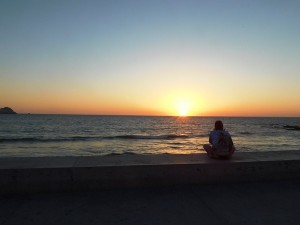 ámara de Comercio de Mazatlán: Vinculación Turismo y Servicios
