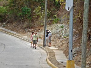 Donald el de Mazatl&aacute;n