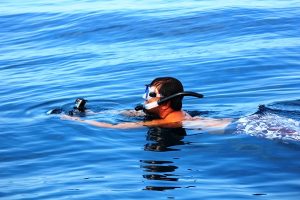 Paul Beckman Promueve Ecoturismo en Canadá