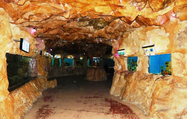 Acuario Mazatl&aacute;n se declara listo para recibir a miles de turistas este verano 2016