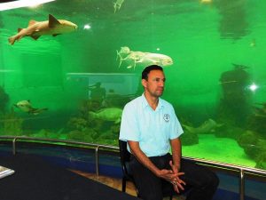 Acuario Mazatl&aacute;n se declara listo para recibir a miles de turistas este verano 2016