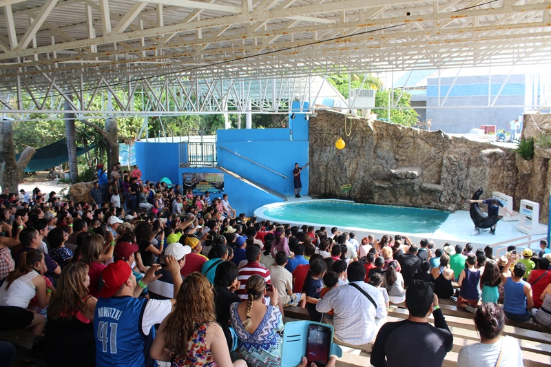 bonanza-de-turistas-acuario-mzt-2
