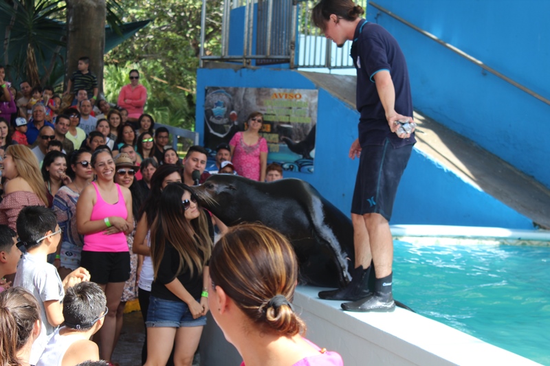 bonanza-de-turistas-acuario-mzt-3