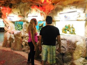 Acuario Mazatl&aacute;n se consolida como atractivo ur&iacute;stico de Mazatl&aacute;n 2016