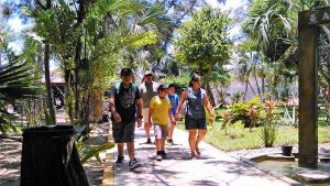 acuario-mazatlan-septiembre-2016