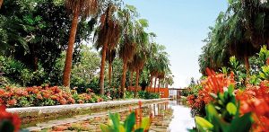 La Pujante ciudad de Culiacán, Sinaloa, México, 2016