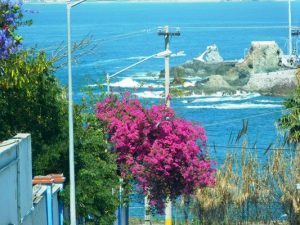 Mazatlán beneficia a San Diego con arribo de Cruceros 2016