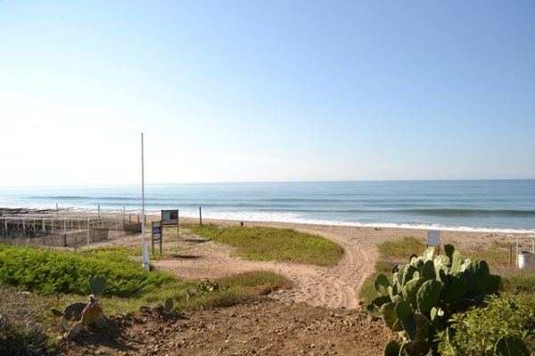 ????????????????????????????????????