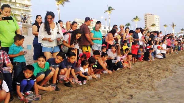 Soberbio Atardecer en Mazatlán 2016