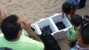 Soberbio Atardecer en Mazatl&aacute;n 2016