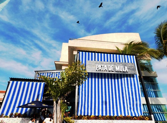 Inauguración Restaurante Pata de Mula Mazatlán 2016