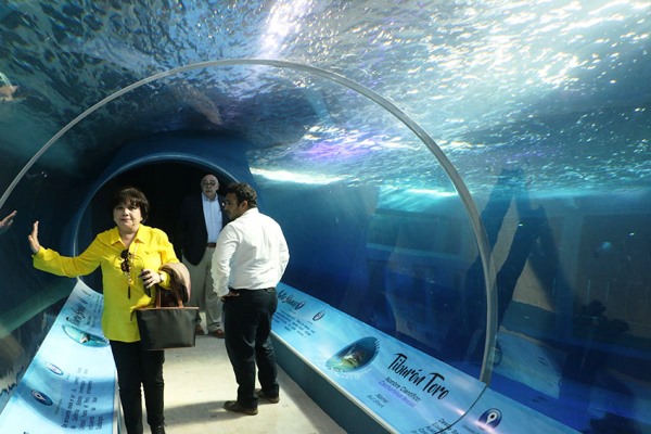 Inauguración Tiburonario Acuario Mazatlán 2016