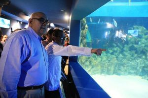 Inauguración Tiburonario Acuario Mazatlán 2016