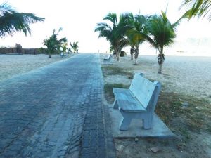 Limpieza Zona Dorada Mazatl&aacute;n Campa&ntilde;a 2017