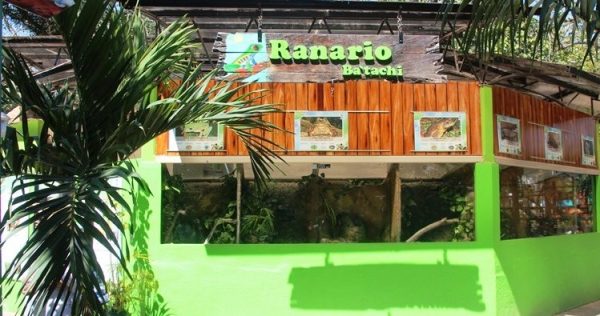 Acuario Mazatlán Celebra el Día Mundial de los Anfibios 2017