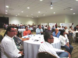 Imlementación, ARE, Agenda, Regional,Estratégica, Codesin, Zona Sur, 217