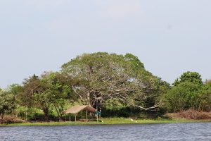 La Isla de la Piedra una aventura imperdible