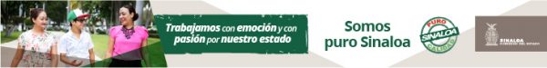 Banner Puro Sinaloa