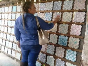 Concordia atrae turistas ávidos de emociones 2017