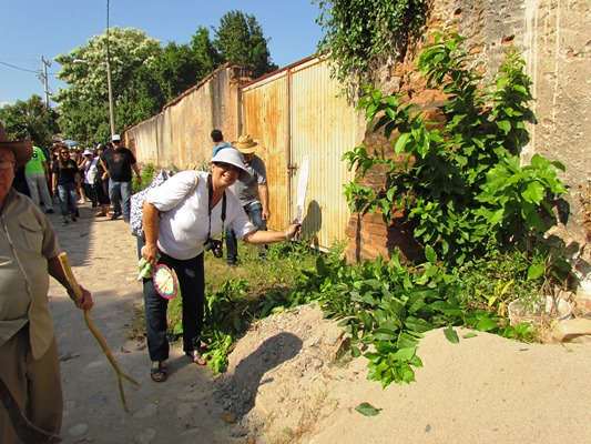La Fiesta de la Taspana debe ser declarada Patrimonio Cultural de Sinaloa