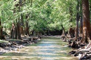 Arroyo de La Labor de Fechaloa 1