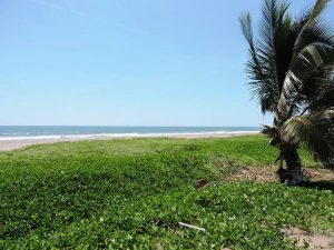 CIP Playa Espiritu Avanza con paso seguro Eduardo Bazúa (1)