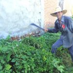 La Taspana en San Javier se consolida como patrimonio Cultural de Sinaloa 2017