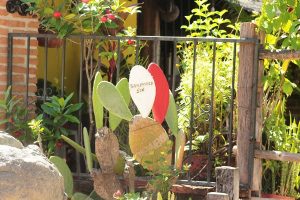 La Taspana en San Javier se consolida como patrimonio Cultural de Sinaloa 2017