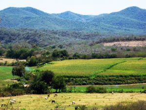 La Sindicatura de El Quelite en Mazatlán atrae Inversiones