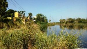 Laguna del Camar&oacute;n Mazatl&aacute;n Engullida por Avenida Bah&iacute;a 2017 