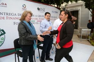 Red Fosin Sinaloa Meta 2017 en Créditos