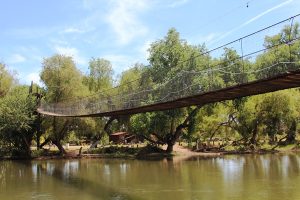 Sinaloa de Leyva Pueblo Señorial 2018 (1)