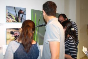 Exposición Fotográfico Cielo Mar Y Tierra Mazatlán 2018
