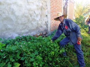 La Taspana Patrimonio Intangible de Sinaloa Decreto 2018